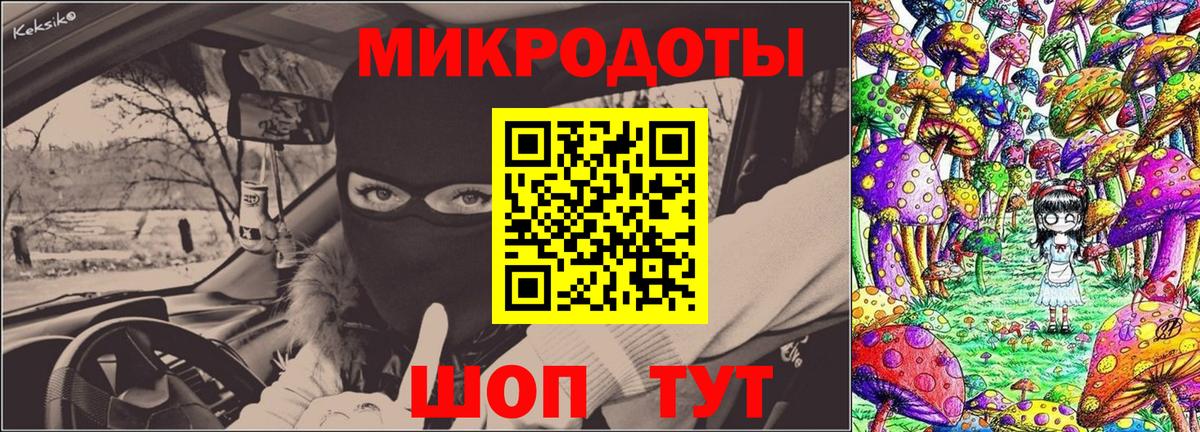 Галлюциногенные грибы Psilocybe  Вход с VPN  Псилоцибиновые грибы прущие грибы  Будённовск 