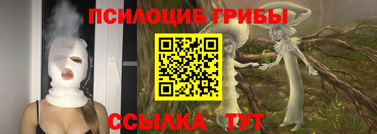 Псилоцибиновые грибы GOLDEN TEACHER Будённовск