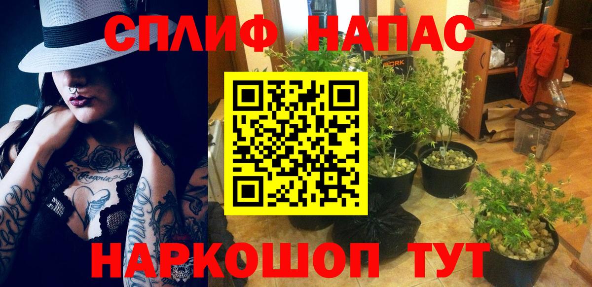 Будённовск  Каннабис план  Вход с VPN  Бошки Шишки MAZAR  Шишки марихуана OG Kush 